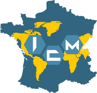 Logo ICM